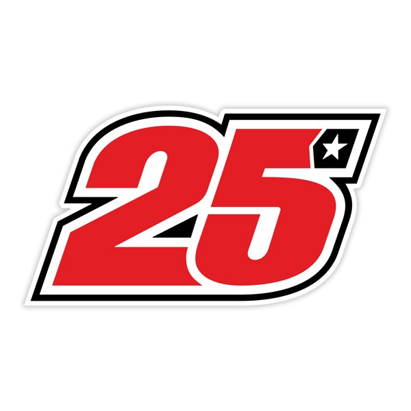 Pegatinas: Maverick 25 GP