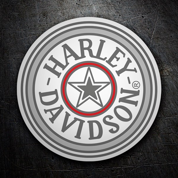 Pegatinas: Harley Davidson Plata