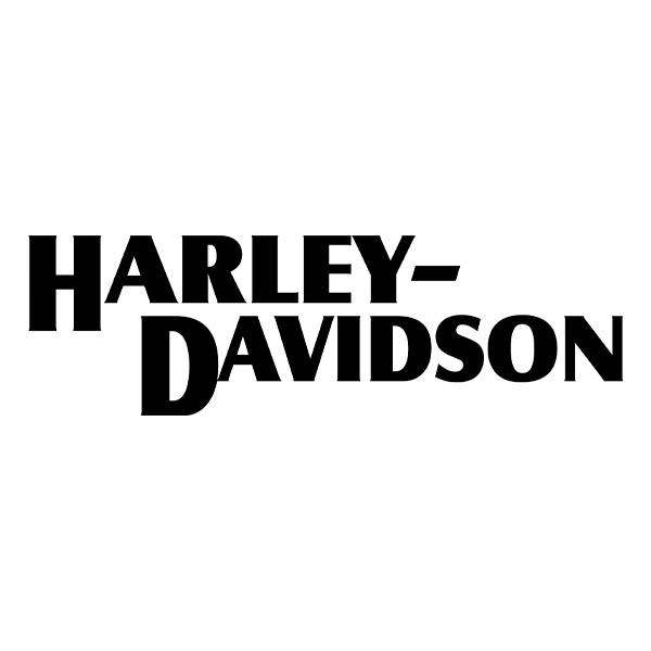 Pegatinas: Harley Davidson nombre