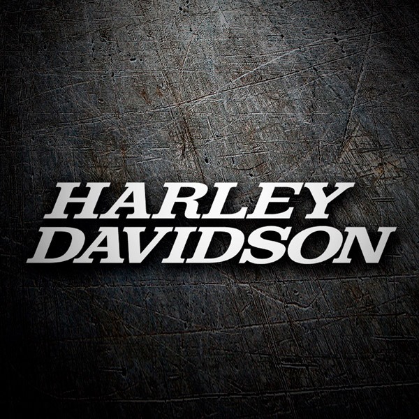 Pegatinas: Harley Davidson name 0