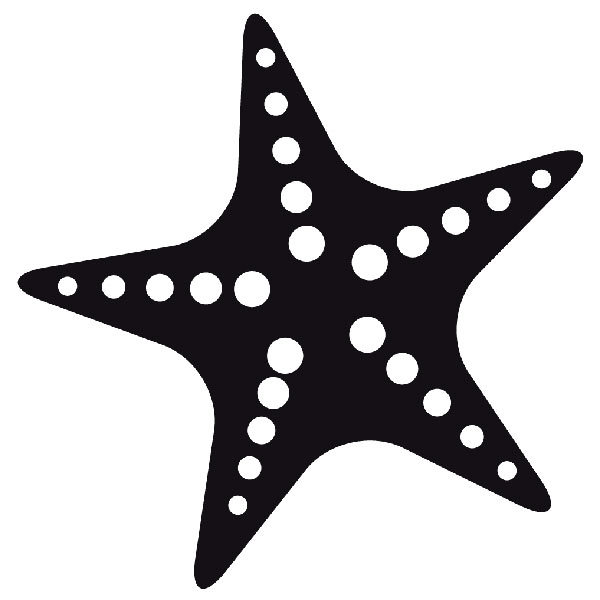 Pegatinas: Estrella de mar