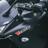 Pegatinas: Dainese classic 4