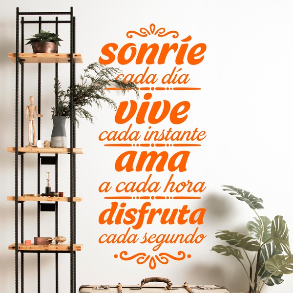 Vinilos Decorativos: Sonríe, Vive, Ama, Disfruta