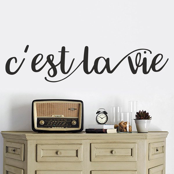 Vinilos Decorativos: C'est la vie, francés