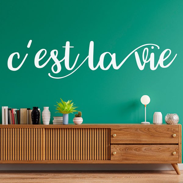 Vinilos Decorativos: C'est la vie, francés