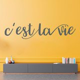 Vinilos Decorativos: C'est la vie, francés 3