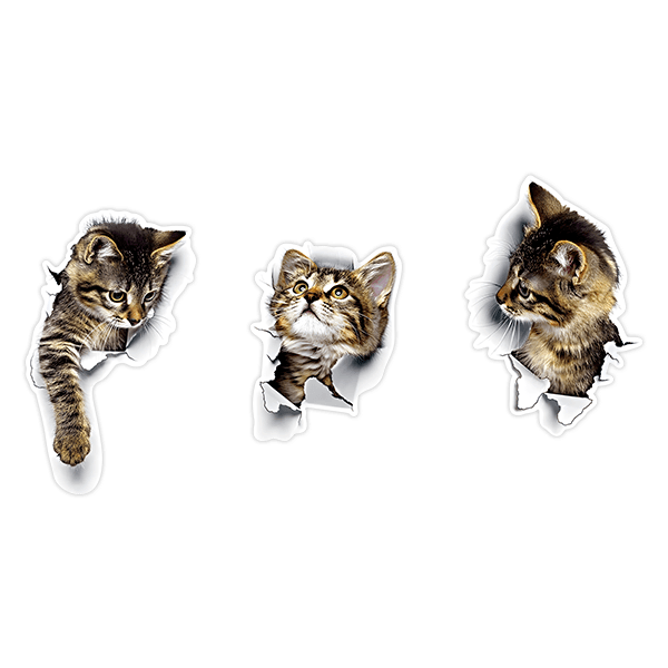 Vinilos Decorativos: 3 gatos traviesos