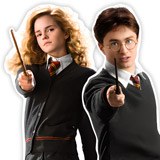 Vinilos Decorativos: Personajes de Harry Potter 4