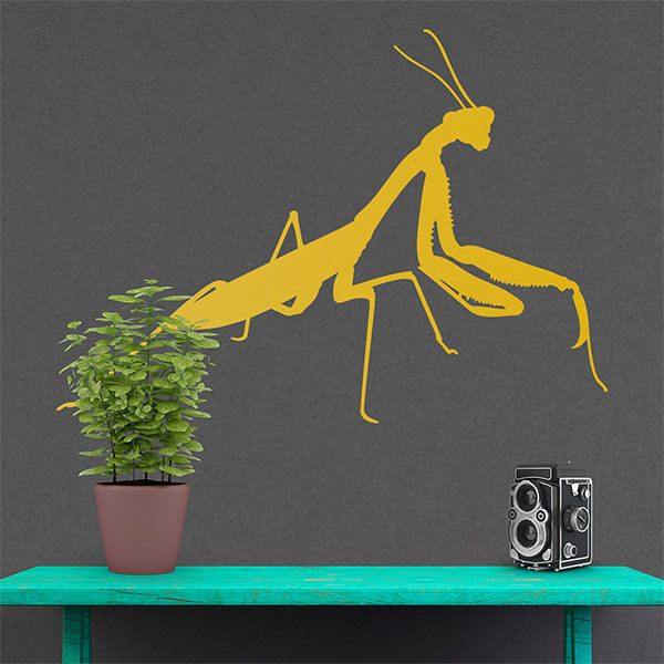 Vinilos Decorativos: Mantis Religiosa