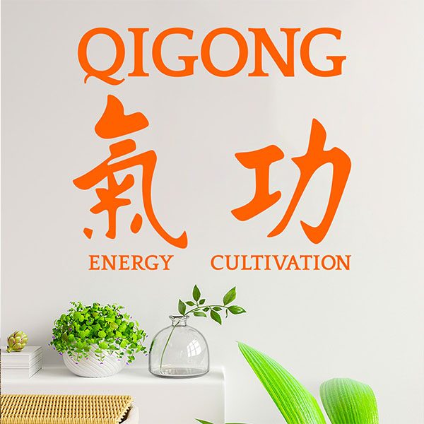 Vinilos Decorativos: Qigong 0