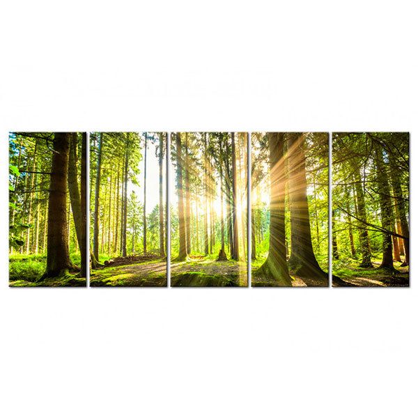 Otros productos: La luz del sol