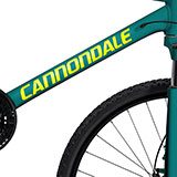 Pegatinas: Set 15X Bicicleta BTT Cannondale Ultimate 2