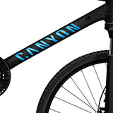 Pegatinas: Kit Bicicleta BTT Canyon F10 2