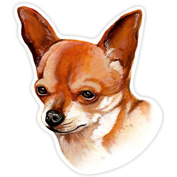 Pegatinas: Chihuahua