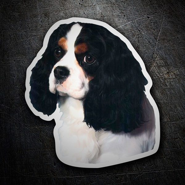 Pegatinas: Cavalier King Charles Spaniel