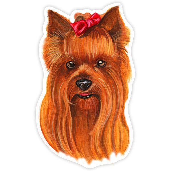 Pegatinas: Yorkshire Terrier