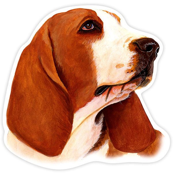 Pegatinas: Basset Hound