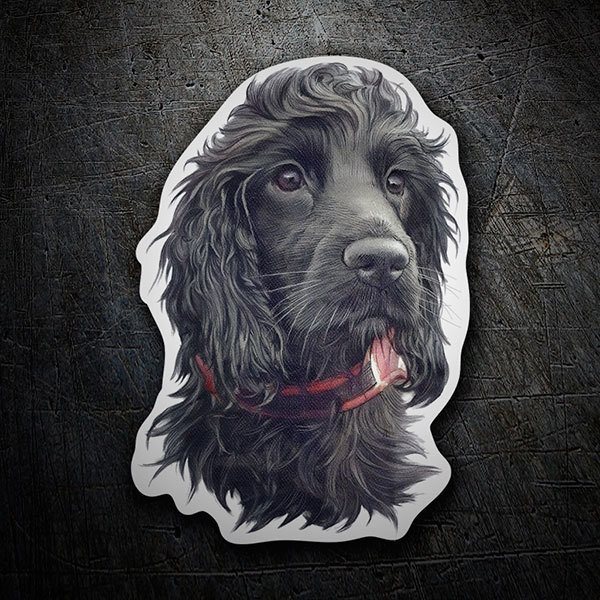 Pegatinas: Cocker Spaniel negro