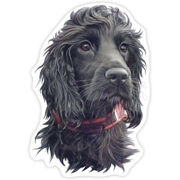 Pegatinas: Cocker Spaniel negro