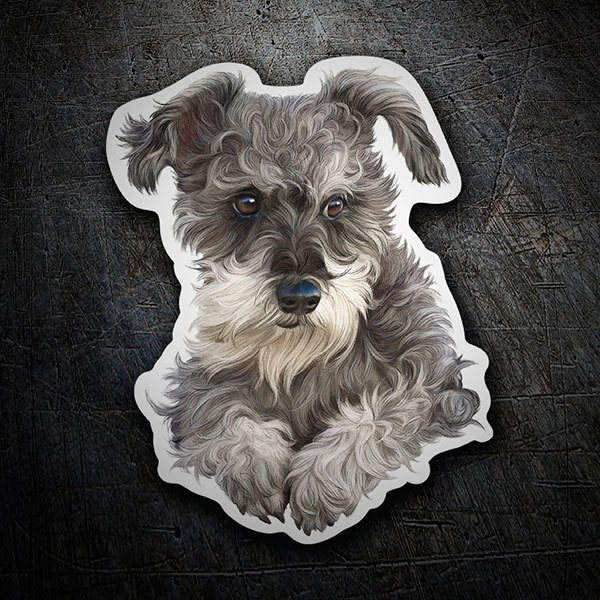 Pegatinas: Schnauzer cachorro