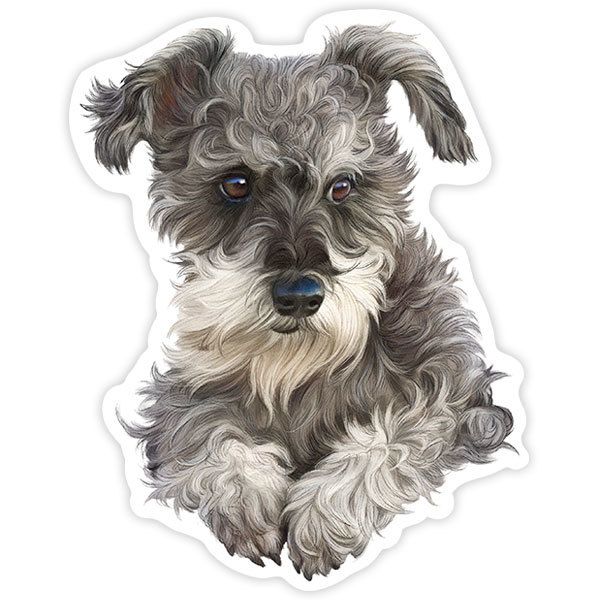 Pegatinas: Schnauzer cachorro