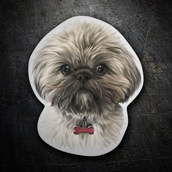 Pegatinas: Shih Tzu tibetano