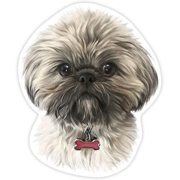 Pegatinas: Shih Tzu tibetano