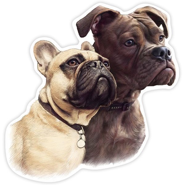 Pegatinas: Pareja de Bulldog francés