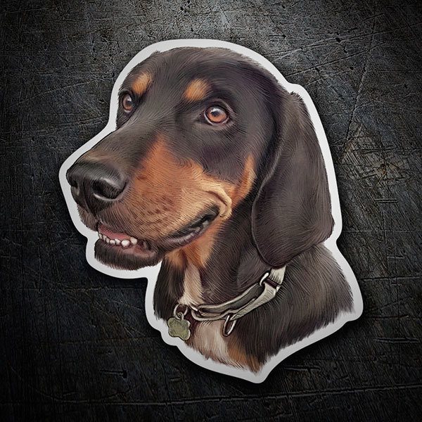 Pegatinas: Teckel (Perro Salchicha)