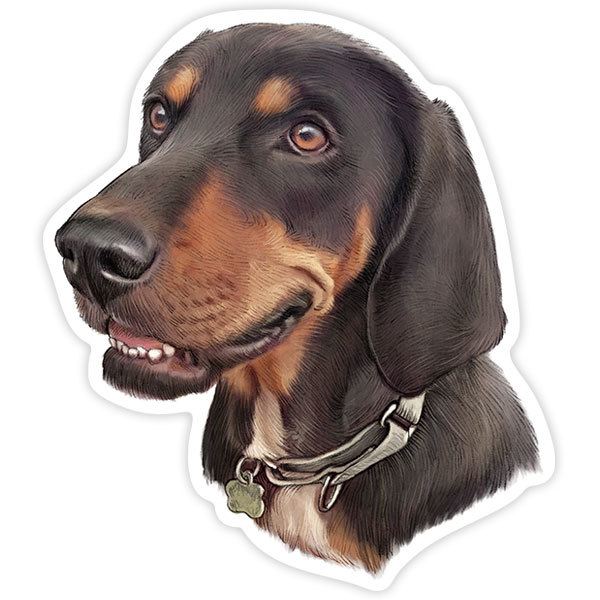 Pegatinas: Teckel (Perro Salchicha)