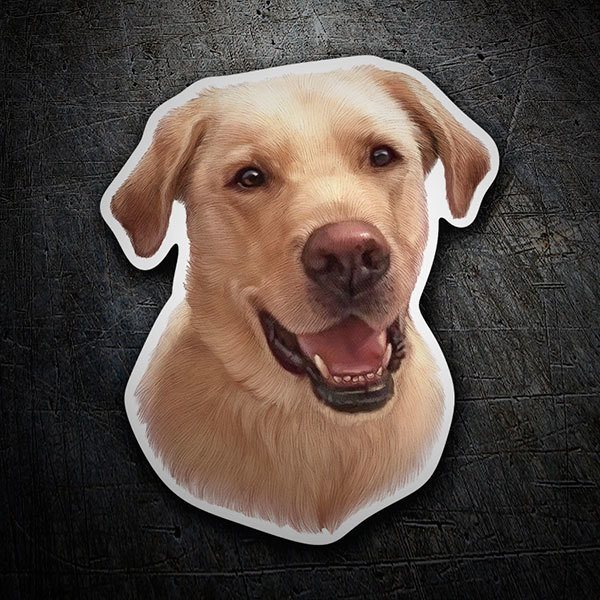 Pegatinas: Golden Retriever
