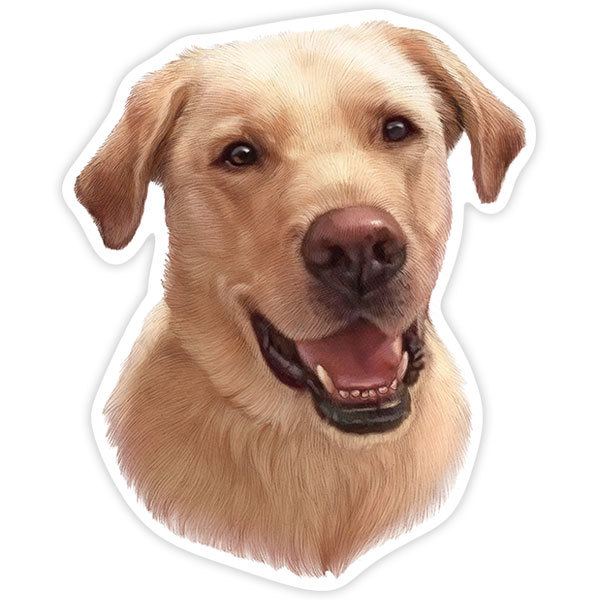 Pegatinas: Golden Retriever
