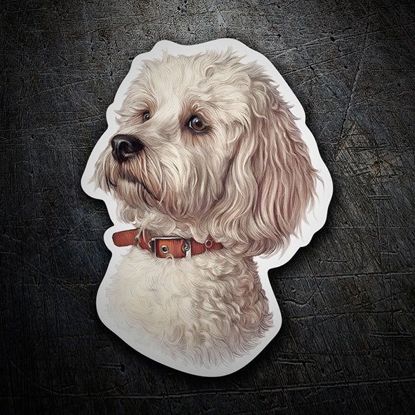 Pegatinas: Bichón Maltés