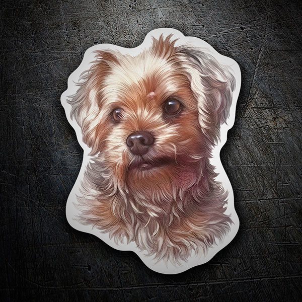 Pegatinas: Yorkshire Terrier escocés