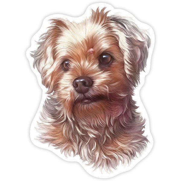 Pegatinas: Yorkshire Terrier escocés