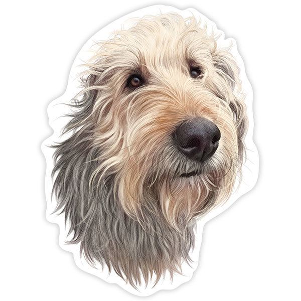 Pegatinas: Petit Basset Griffon Vendéen
