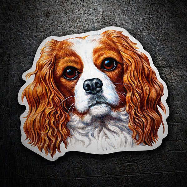 Pegatinas: Cavalier King Charles