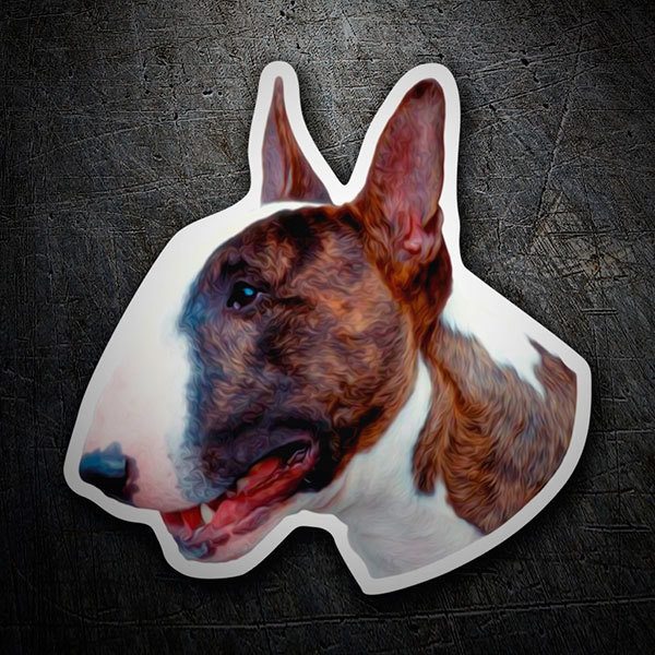 Pegatinas: Bull Terrier inglés