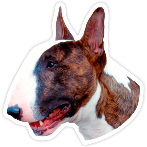 Pegatinas: Bull Terrier inglés
