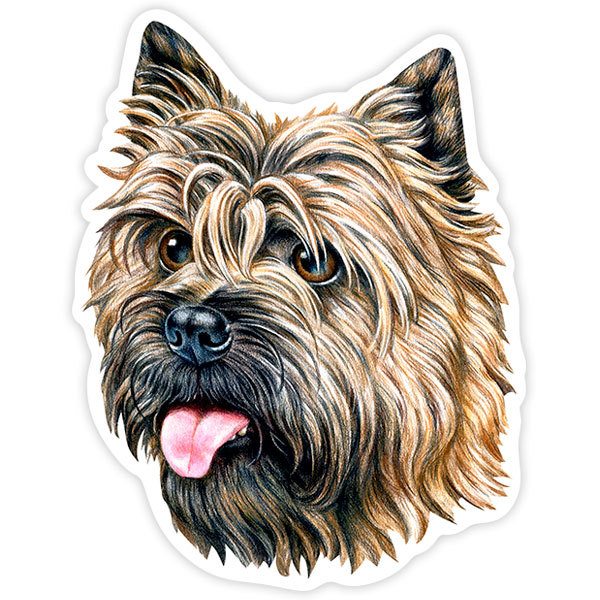 Pegatinas: Cairn Terrier