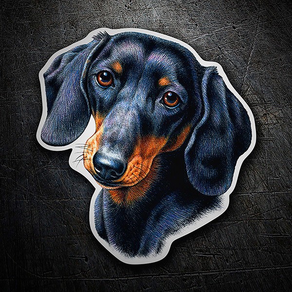 Pegatinas: Teckel (Perro Salchicha)