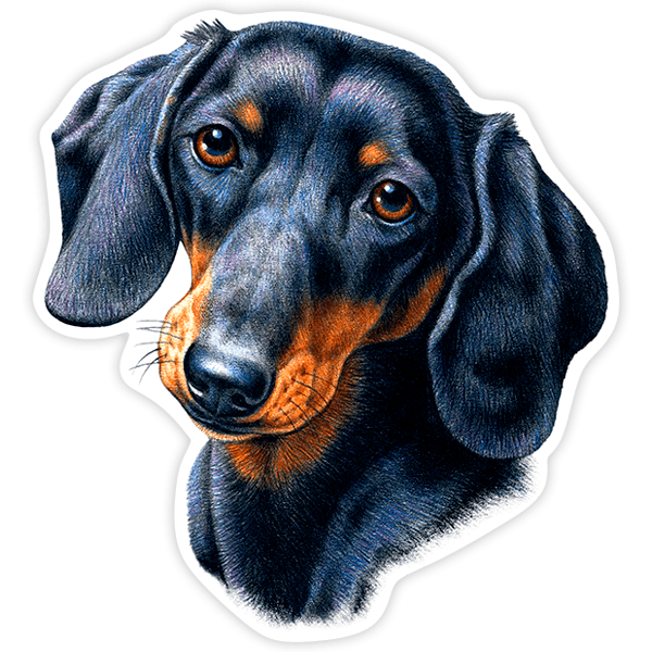 Pegatinas: Teckel (Perro Salchicha)