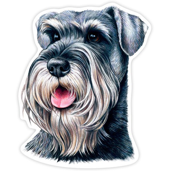 Pegatinas: Schnauzer