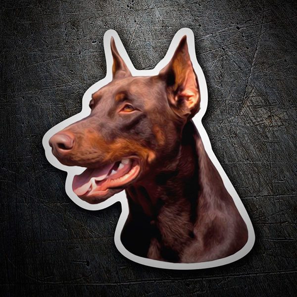 Pegatinas: Doberman