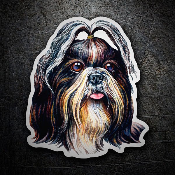 Pegatinas: Shih Tzu