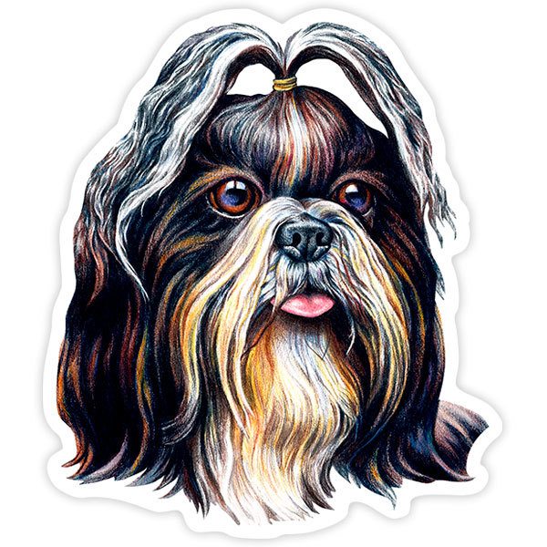 Pegatinas: Shih Tzu