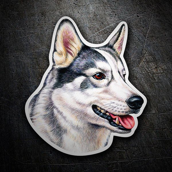 Pegatinas: Husky siberiano