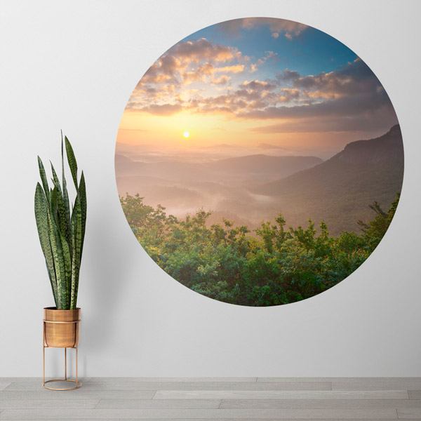 Vinilos Decorativos: Atardecer en el Bosque