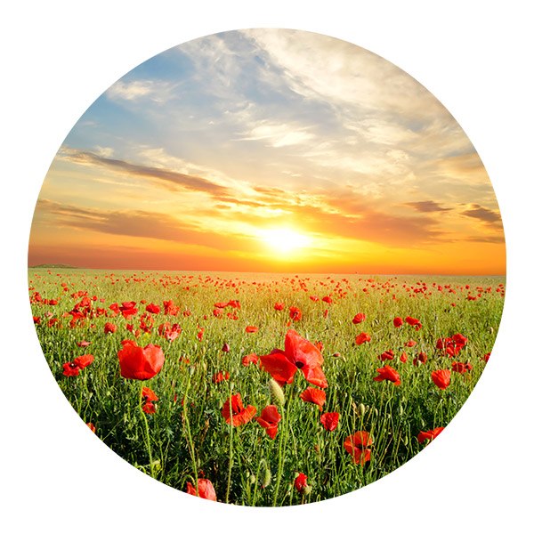 Vinilos Decorativos: Atardecer en un Campo de Amapolas