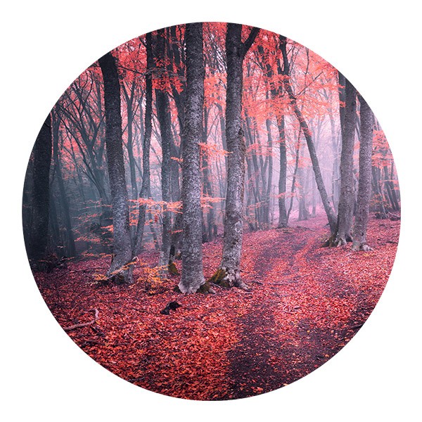 Vinilos Decorativos: Bosque Rojo